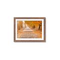 Picture of Falling Leaves  _GroupedProduct_Rectangle_Landscape_Photography _GroupedProduct_Rectangle_Landscape_Framed_Matted_
