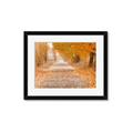Picture of Falling Leaves  _GroupedProduct_Rectangle_Landscape_Photography _GroupedProduct_Rectangle_Landscape_Framed_Matted_
