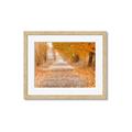 Picture of Falling Leaves  _GroupedProduct_Rectangle_Landscape_Photography _GroupedProduct_Rectangle_Landscape_Framed_Matted_
