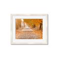 Picture of Falling Leaves  _GroupedProduct_Rectangle_Landscape_Photography _GroupedProduct_Rectangle_Landscape_Framed_Matted_