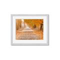 Picture of Falling Leaves  _GroupedProduct_Rectangle_Landscape_Photography _GroupedProduct_Rectangle_Landscape_Framed_Matted_