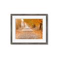 Picture of Falling Leaves  _GroupedProduct_Rectangle_Landscape_Photography _GroupedProduct_Rectangle_Landscape_Framed_Matted_
