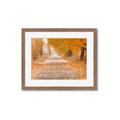Picture of Falling Leaves  _GroupedProduct_Rectangle_Landscape_Photography _GroupedProduct_Rectangle_Landscape_Framed_Matted_