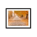 Picture of Falling Leaves  _GroupedProduct_Rectangle_Landscape_Photography _GroupedProduct_Rectangle_Landscape_Framed_Matted_