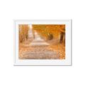 Picture of Falling Leaves  _GroupedProduct_Rectangle_Landscape_Photography _GroupedProduct_Rectangle_Landscape_Framed_Matted_