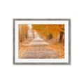 Picture of Falling Leaves  _GroupedProduct_Rectangle_Landscape_Photography _GroupedProduct_Rectangle_Landscape_Framed_Matted_