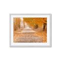 Picture of Falling Leaves  _GroupedProduct_Rectangle_Landscape_Photography _GroupedProduct_Rectangle_Landscape_Framed_Matted_