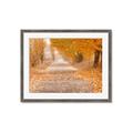 Picture of Falling Leaves  _GroupedProduct_Rectangle_Landscape_Photography _GroupedProduct_Rectangle_Landscape_Framed_Matted_