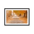Picture of Falling Leaves  _GroupedProduct_Rectangle_Landscape_Photography _GroupedProduct_Rectangle_Landscape_Framed_Matted_