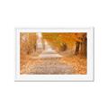 Picture of Falling Leaves  _GroupedProduct_Rectangle_Landscape_Photography _GroupedProduct_Rectangle_Landscape_Framed_Matted_