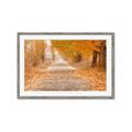 Picture of Falling Leaves  _GroupedProduct_Rectangle_Landscape_Photography _GroupedProduct_Rectangle_Landscape_Framed_Matted_