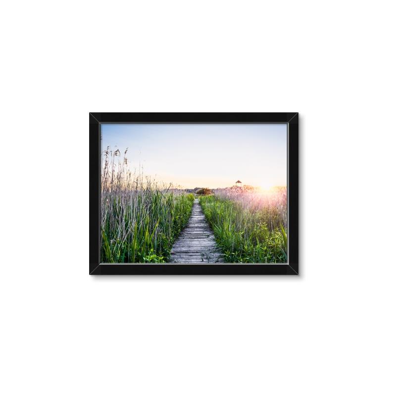 Picture of Field of Dreams   _GroupedProduct_Rectangle_Landscape_Photography _GroupedProduct_Rectangle_Landscape_Framed_Matted_