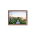 Picture of Field of Dreams   _GroupedProduct_Rectangle_Landscape_Photography _GroupedProduct_Rectangle_Landscape_Framed_Matted_