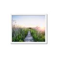Picture of Field of Dreams   _GroupedProduct_Rectangle_Landscape_Photography _GroupedProduct_Rectangle_Landscape_Framed_Matted_