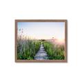 Picture of Field of Dreams   _GroupedProduct_Rectangle_Landscape_Photography _GroupedProduct_Rectangle_Landscape_Framed_Matted_
