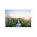 Picture of Field of Dreams   _GroupedProduct_Rectangle_Landscape_Photography _GroupedProduct_Rectangle_Landscape_Framed_Matted_