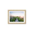 Picture of Field of Dreams   _GroupedProduct_Rectangle_Landscape_Photography _GroupedProduct_Rectangle_Landscape_Framed_Matted_