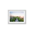 Picture of Field of Dreams   _GroupedProduct_Rectangle_Landscape_Photography _GroupedProduct_Rectangle_Landscape_Framed_Matted_