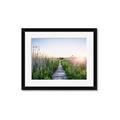 Picture of Field of Dreams   _GroupedProduct_Rectangle_Landscape_Photography _GroupedProduct_Rectangle_Landscape_Framed_Matted_