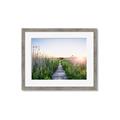 Picture of Field of Dreams   _GroupedProduct_Rectangle_Landscape_Photography _GroupedProduct_Rectangle_Landscape_Framed_Matted_