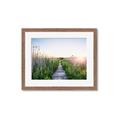 Picture of Field of Dreams   _GroupedProduct_Rectangle_Landscape_Photography _GroupedProduct_Rectangle_Landscape_Framed_Matted_