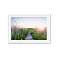 Picture of Field of Dreams   _GroupedProduct_Rectangle_Landscape_Photography _GroupedProduct_Rectangle_Landscape_Framed_Matted_