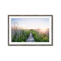 Picture of Field of Dreams   _GroupedProduct_Rectangle_Landscape_Photography _GroupedProduct_Rectangle_Landscape_Framed_Matted_