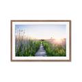 Picture of Field of Dreams   _GroupedProduct_Rectangle_Landscape_Photography _GroupedProduct_Rectangle_Landscape_Framed_Matted_