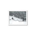 Picture of High Pines  _GroupedProduct_Rectangle_Landscape_Photography _GroupedProduct_Rectangle_Landscape_Framed_Matted_
