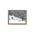 Picture of High Pines  _GroupedProduct_Rectangle_Landscape_Photography _GroupedProduct_Rectangle_Landscape_Framed_Matted_