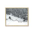 Picture of High Pines  _GroupedProduct_Rectangle_Landscape_Photography _GroupedProduct_Rectangle_Landscape_Framed_Matted_