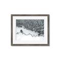 Picture of High Pines  _GroupedProduct_Rectangle_Landscape_Photography _GroupedProduct_Rectangle_Landscape_Framed_Matted_