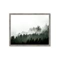 Picture of In the Mist _GroupedProduct_Rectangle_Landscape_Photography _GroupedProduct_Rectangle_Landscape_Framed_Matted_