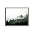 Picture of In the Mist _GroupedProduct_Rectangle_Landscape_Photography _GroupedProduct_Rectangle_Landscape_Framed_Matted_