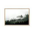 Picture of In the Mist _GroupedProduct_Rectangle_Landscape_Photography _GroupedProduct_Rectangle_Landscape_Framed_Matted_