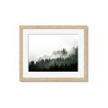 Picture of In the Mist _GroupedProduct_Rectangle_Landscape_Photography _GroupedProduct_Rectangle_Landscape_Framed_Matted_