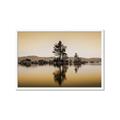 Picture of Mirrored Water _GroupedProduct_Rectangle_Landscape_Photography _GroupedProduct_Rectangle_Landscape_Framed_Matted_
