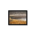 Picture of Mustard Grass Lake _GroupedProduct_Rectangle_Landscape_Photography _GroupedProduct_Rectangle_Landscape_Framed_Matted_