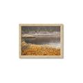 Picture of Mustard Grass Lake _GroupedProduct_Rectangle_Landscape_Photography _GroupedProduct_Rectangle_Landscape_Framed_Matted_