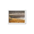 Picture of Mustard Grass Lake _GroupedProduct_Rectangle_Landscape_Photography _GroupedProduct_Rectangle_Landscape_Framed_Matted_