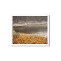 Picture of Mustard Grass Lake _GroupedProduct_Rectangle_Landscape_Photography _GroupedProduct_Rectangle_Landscape_Framed_Matted_
