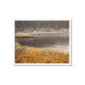 Picture of Mustard Grass Lake _GroupedProduct_Rectangle_Landscape_Photography _GroupedProduct_Rectangle_Landscape_Framed_Matted_