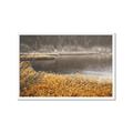 Picture of Mustard Grass Lake _GroupedProduct_Rectangle_Landscape_Photography _GroupedProduct_Rectangle_Landscape_Framed_Matted_