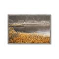 Picture of Mustard Grass Lake _GroupedProduct_Rectangle_Landscape_Photography _GroupedProduct_Rectangle_Landscape_Framed_Matted_