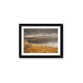 Picture of Mustard Grass Lake _GroupedProduct_Rectangle_Landscape_Photography _GroupedProduct_Rectangle_Landscape_Framed_Matted_