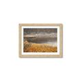 Picture of Mustard Grass Lake _GroupedProduct_Rectangle_Landscape_Photography _GroupedProduct_Rectangle_Landscape_Framed_Matted_