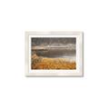 Picture of Mustard Grass Lake _GroupedProduct_Rectangle_Landscape_Photography _GroupedProduct_Rectangle_Landscape_Framed_Matted_