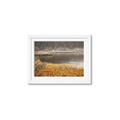 Picture of Mustard Grass Lake _GroupedProduct_Rectangle_Landscape_Photography _GroupedProduct_Rectangle_Landscape_Framed_Matted_