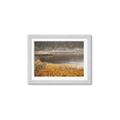 Picture of Mustard Grass Lake _GroupedProduct_Rectangle_Landscape_Photography _GroupedProduct_Rectangle_Landscape_Framed_Matted_