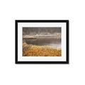 Picture of Mustard Grass Lake _GroupedProduct_Rectangle_Landscape_Photography _GroupedProduct_Rectangle_Landscape_Framed_Matted_